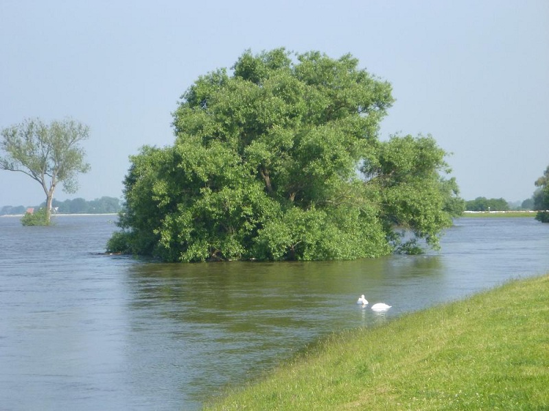 Einsatz 09.06.2013 - TH Hochwasser (KFB)