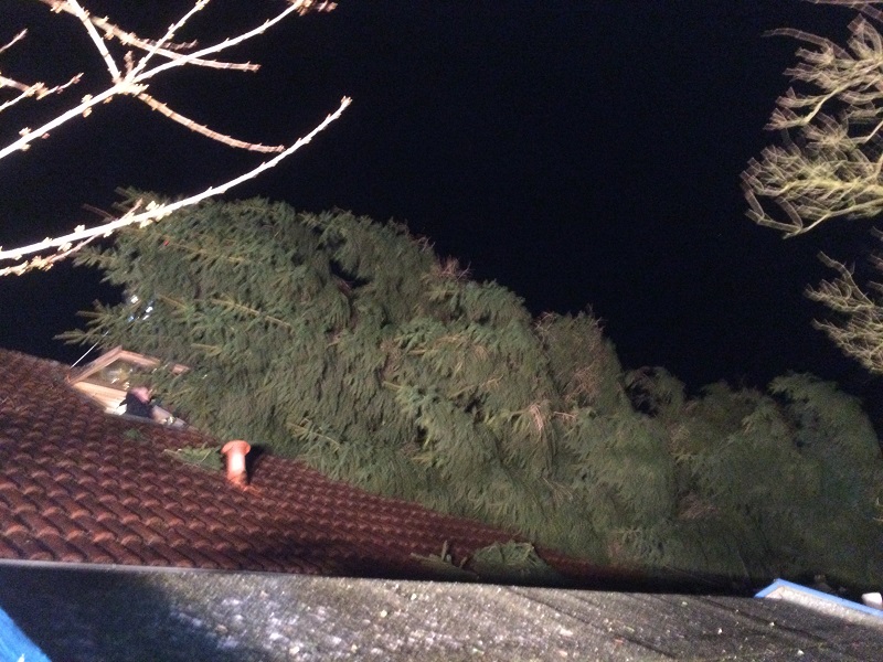 Einsatz 31.03.2015 - TH Baumbeseitigung (2)