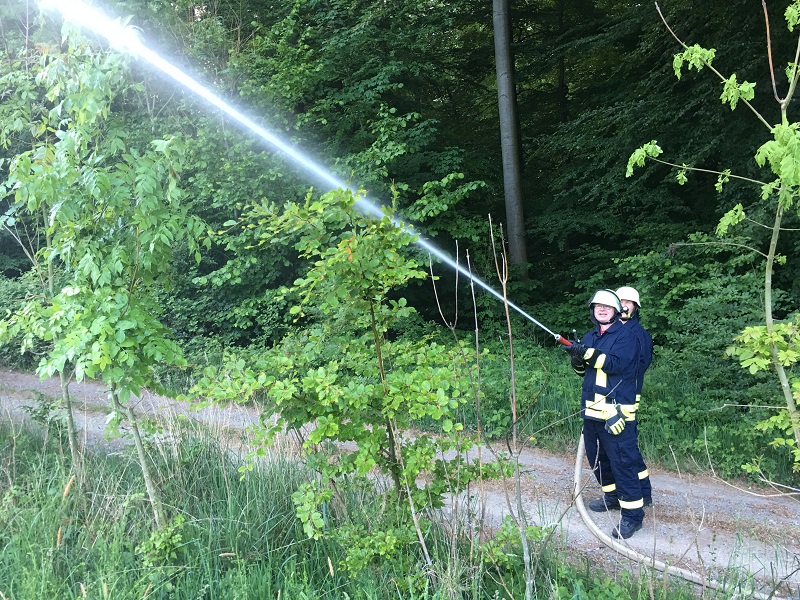 Übung 30.05.2016 - FEU Waldbrand